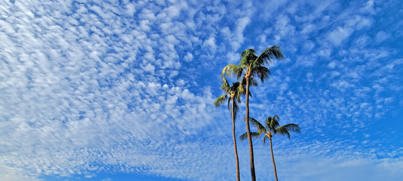 Send your best photos from Maui County to mauiphotos@mauinews.com for a chance to see them featured on our website and in our weekly print edition.